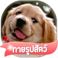 เกมส์ทายรูปสัตว์ 2564