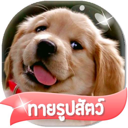 เกมส์ทายรูปสัตว์ 2564