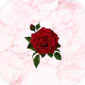 Rose Wallpapers on 9Apps