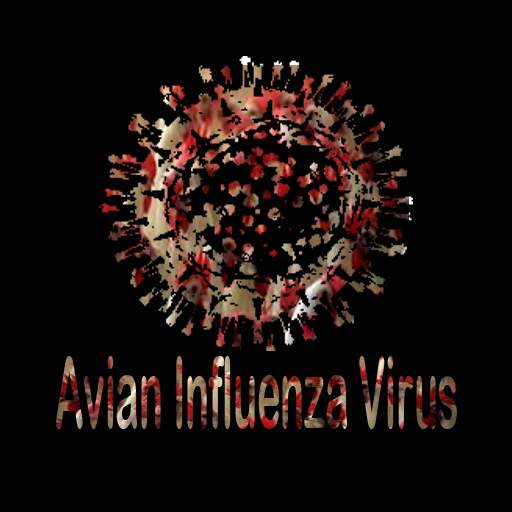 Avian Influenza Virus : Info and Treatment