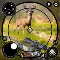 Tiere zu Jagen - Jäger Spiele