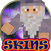 Skins Harry Potter the Order of the Phoenix MCPE