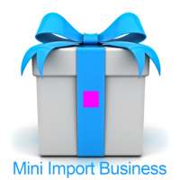 Mini Import Business