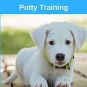 Potty Training Puppy on 9Apps