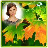 Autumn Photo Frames