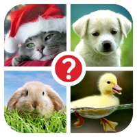 Guess the word ~ 4 Pics 1 Word