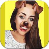 Camera Face Filters & Stickers on 9Apps