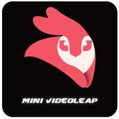 Mini Videoleap on 9Apps