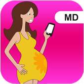 Pregnancy Companion on 9Apps