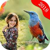 Bird Photo Editor : Photo Frames on 9Apps