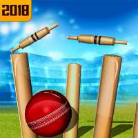 Top Cricket Ball Slope Game