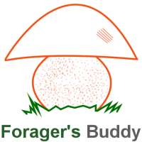 Forager's Buddy - A foraging app for professionals
