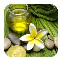 Relaxing Spa Music Relax on 9Apps