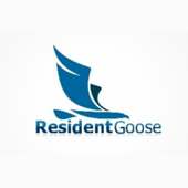 Resident Goose