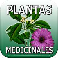 Plantas y Frutas Medicinales