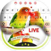 Love Birds Live Keyboard - Love Birds Keyboard