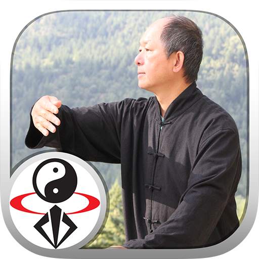Yang Tai Chi for Beginners 1 b
