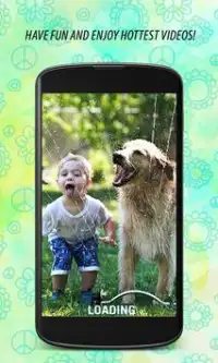 Animal Video APK Download 2023 - Free - 9Apps