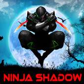 Ninja Warrior Shadow Fight