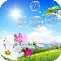 Soap Bubbles Live Wallpaper