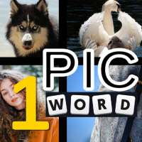 1 Pic 1 Word Picture Puzzle Guess Quiz