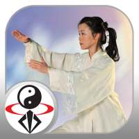 Tai Chi for Beginners - 48 Form (YMAA) on 9Apps