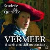 Vermeer - Il secolo d'oro