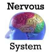 nervous system anatomy on 9Apps