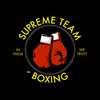 Supreme Team Boxing on 9Apps