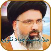 Allama Syed Jawad Naqvi Audio & Videos Lectures on 9Apps