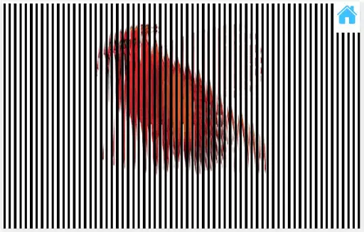 illusion animation scanner APK Download 2023 - Free - 9Apps