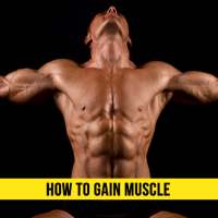 How to Gain Muscle on 9Apps