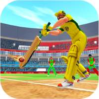 Indian Cricket League Game – IPL 2020 Cricket Game