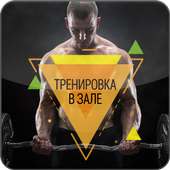 Тренировка в Зале on 9Apps