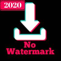 TikTok Downloader - No Watermark