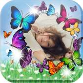Colorful Butterfly Photo Frame