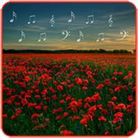 Mp3 Music Download With Garden Photos