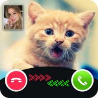 cat call you - fake video call