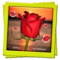 3D Rose Live Wallpaper on 9Apps