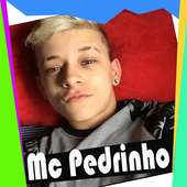 MC Pedrinho - A Escolhida on 9Apps