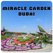 Dubai Miracle Garden. on 9Apps