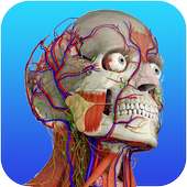 Gray's Anatomy on 9Apps