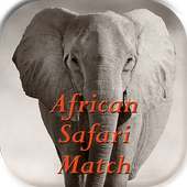 African Safari Match
