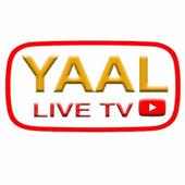 Live Tv Hub - Yaal Media