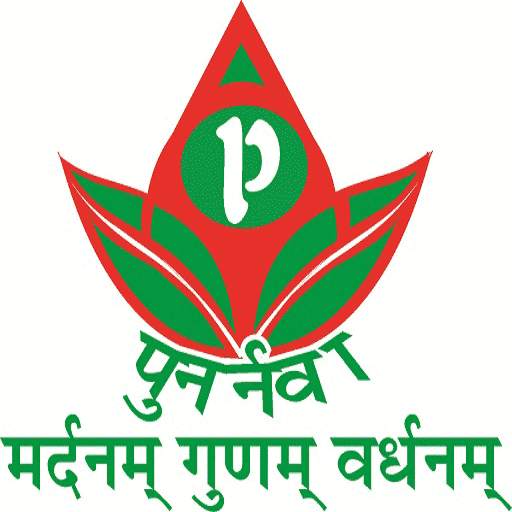 Punarnava Ayurvedic