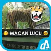 Face Swap - Macan Lucu Koramil