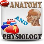 Anatomy & Physiology Mnemonics on 9Apps