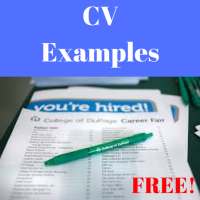 CV Examples
