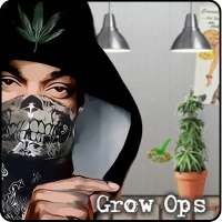 Weed Firm Game - Grow ops