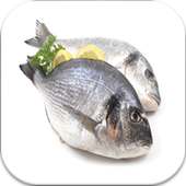 وصفات السمك smak on 9Apps